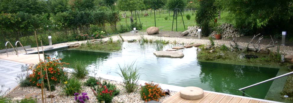 Schwimmteiche, Koiteiche, Swimmingpool, Poolbau, Teichbau, Mansfeld Südharz, Leipzig, Halle, Sangerhausen, Thüringen, Sachsen, Sachsen-Anhalt,